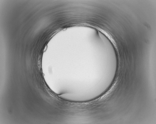 X0000114150905200911191202