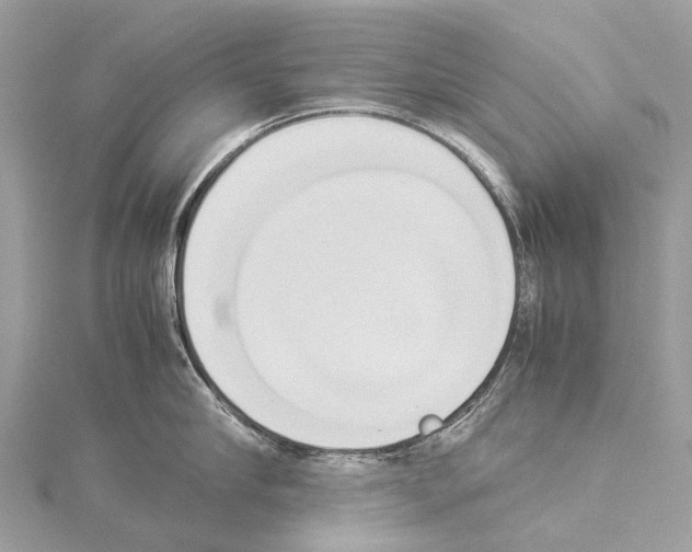 X0000114150910200911191201