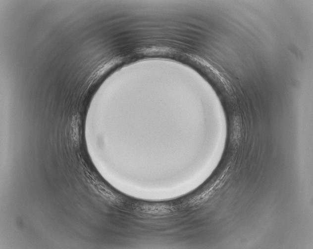 X0000114150921200911191201