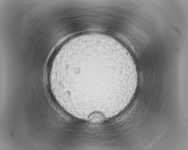 X0000114150931200911191201