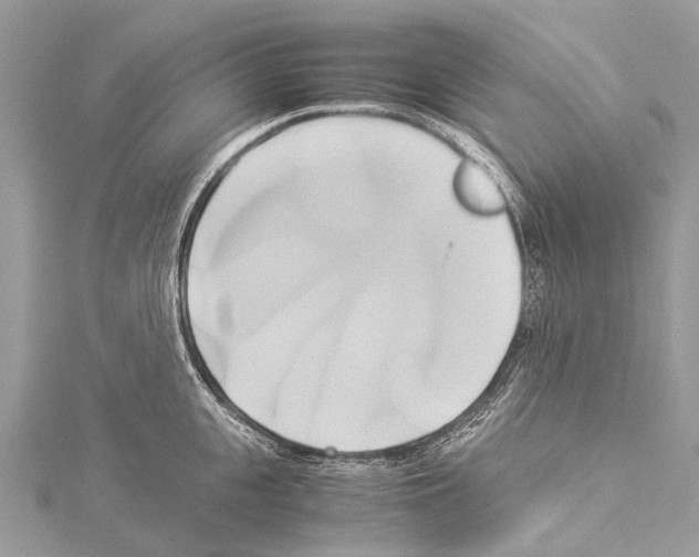 X0000114150951200911191201