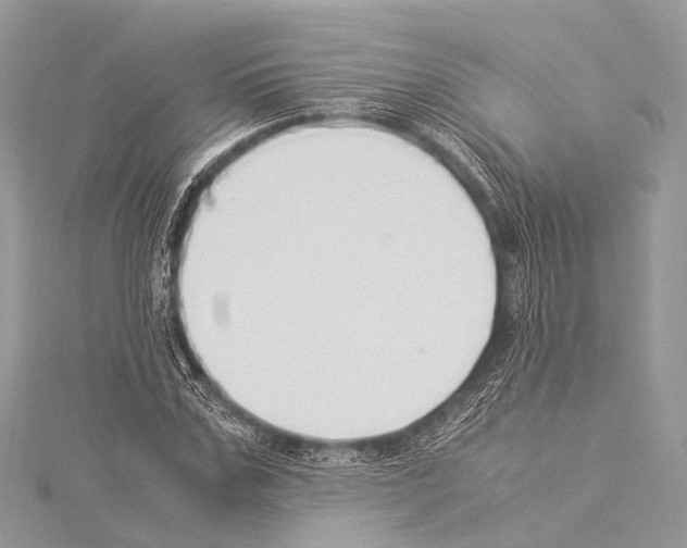 X0000114150971200911191201
