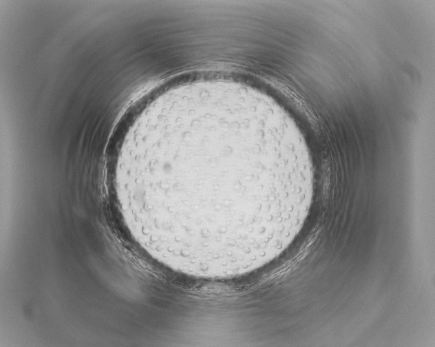 X0000114150974200911191201