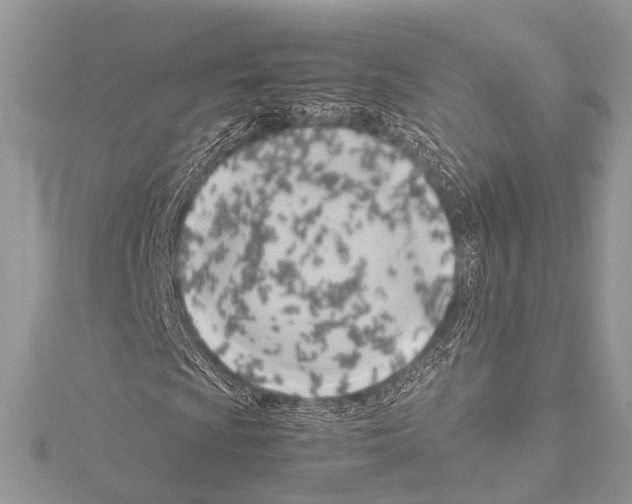 X0000114151009200911191159