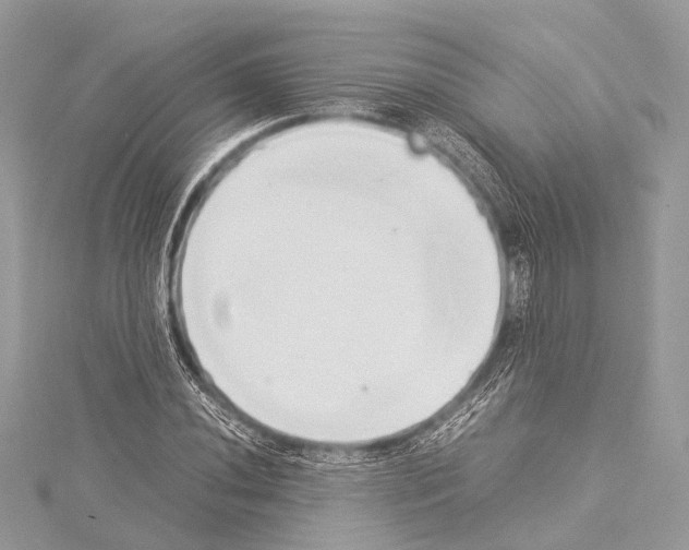 X0000114151020200911191200