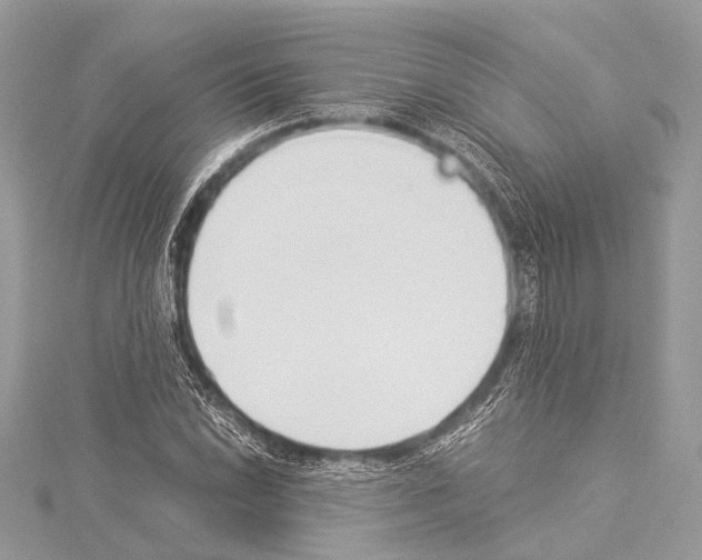 X0000114151022200911191200