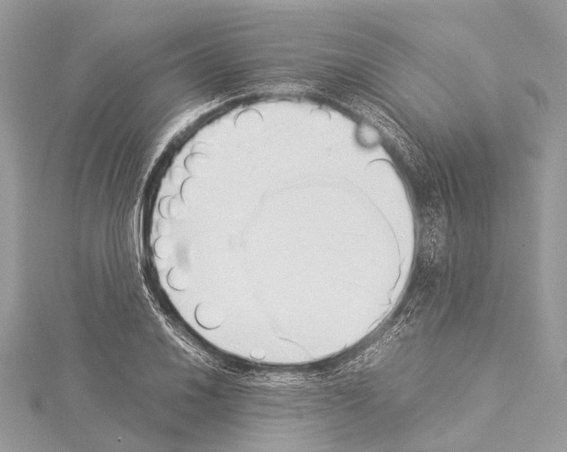 X0000114151030200911191200