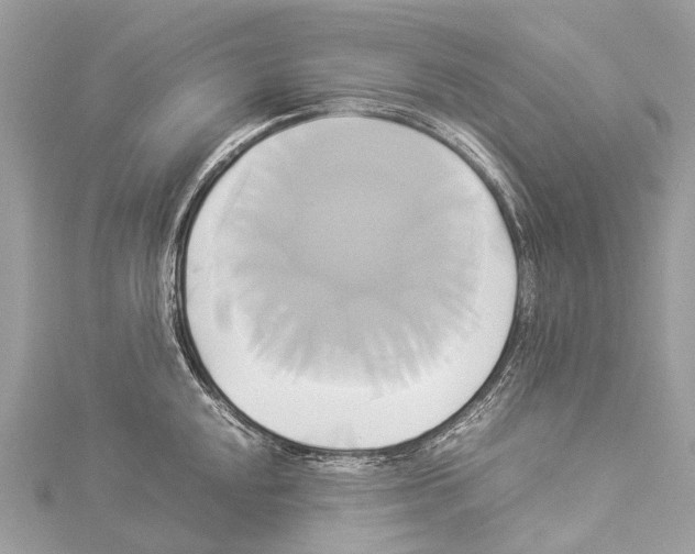 X0000114151048200911191200