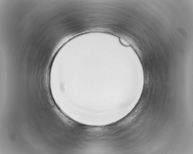 X0000114151054200911191200