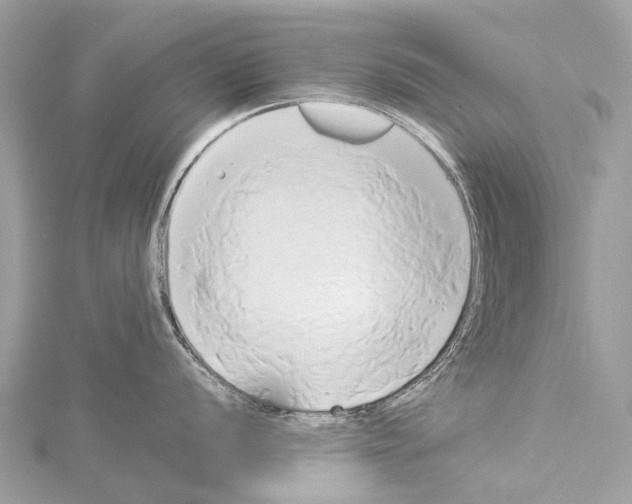 X0000114151056200911191200