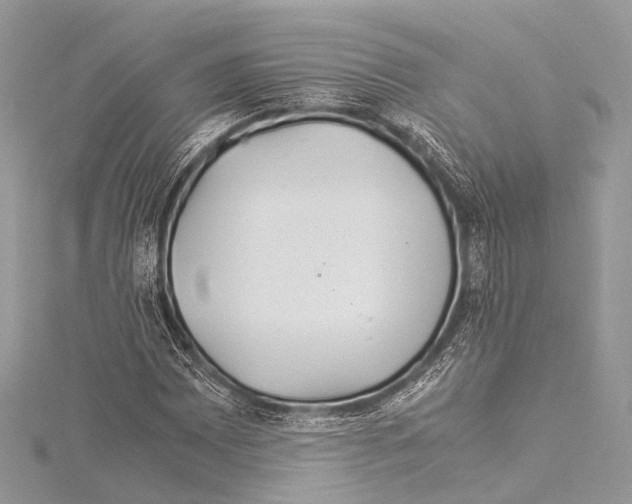 X0000114151065200911191159