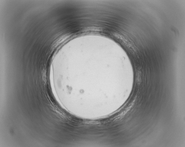 X0000114151113200911191158