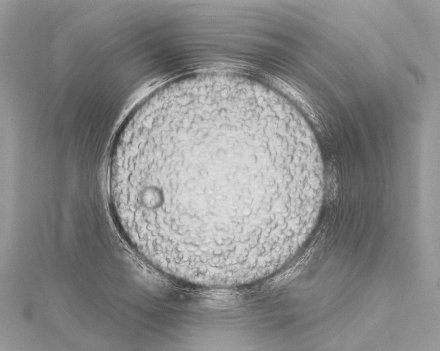 X0000114151130200911191159