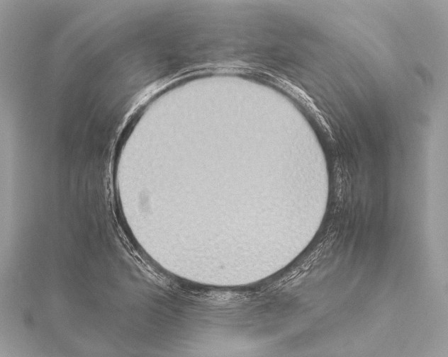 X0000114151176200911191158
