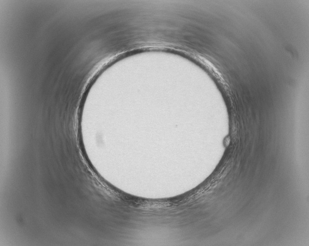 X0000114151183200911191158