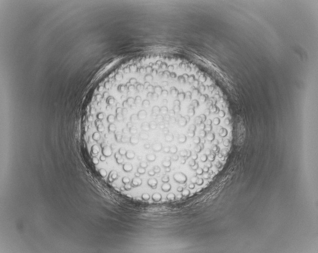 X0000114151220200911191157