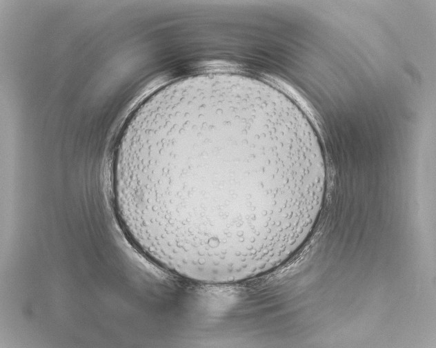 X0000114151243200911191157
