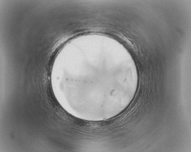 X0000114151263200911191157