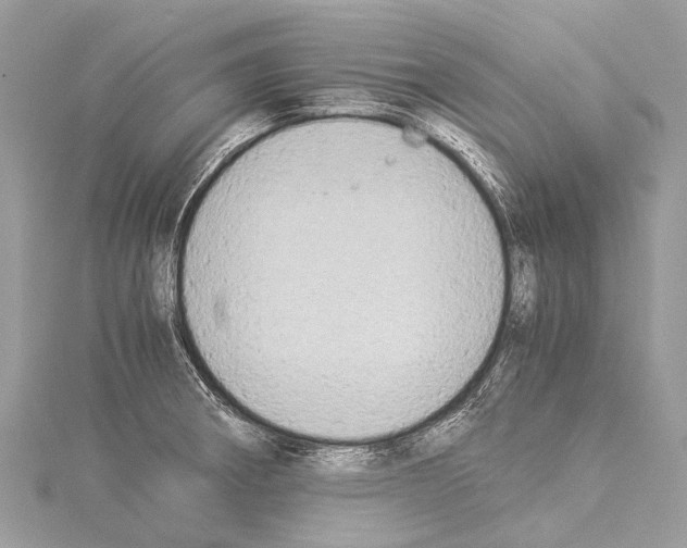 X0000114151282200911191156
