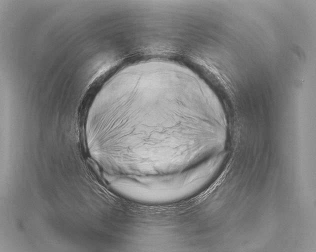 X0000114151306200911191156