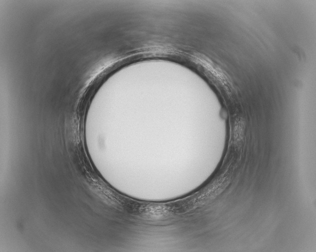 X0000114151310200911191156