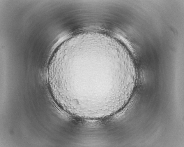 X0000114151322200911191156