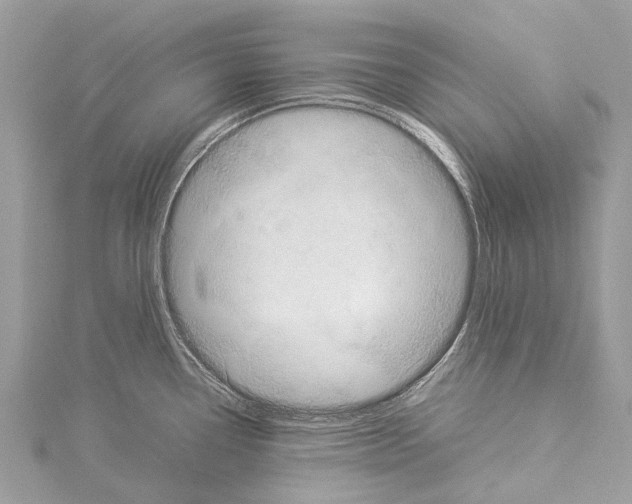 X0000114151338200911191156