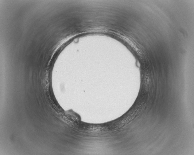 X0000114151364200911191155
