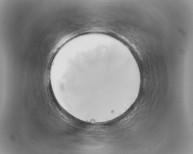X0000114151367200911191155