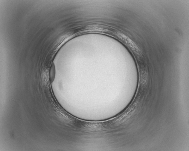 X0000114151369200911191155