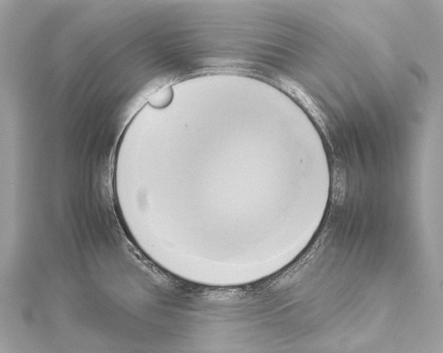 X0000114151386200911191155