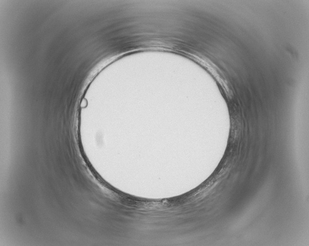 X0000114151387200911191155