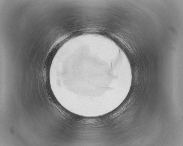 X0000114151402200911191154