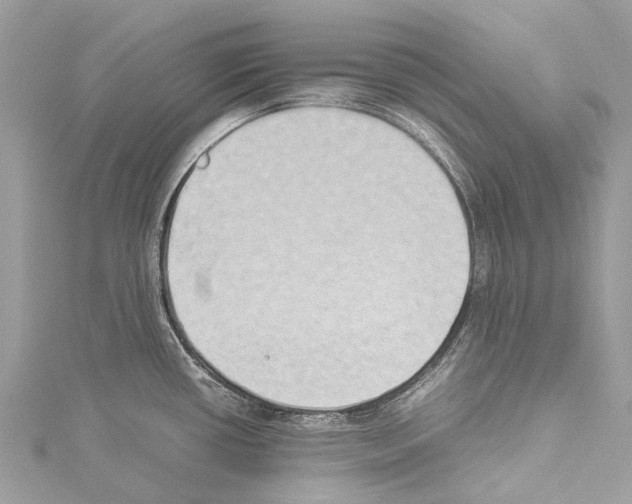 X0000114151434200911191155