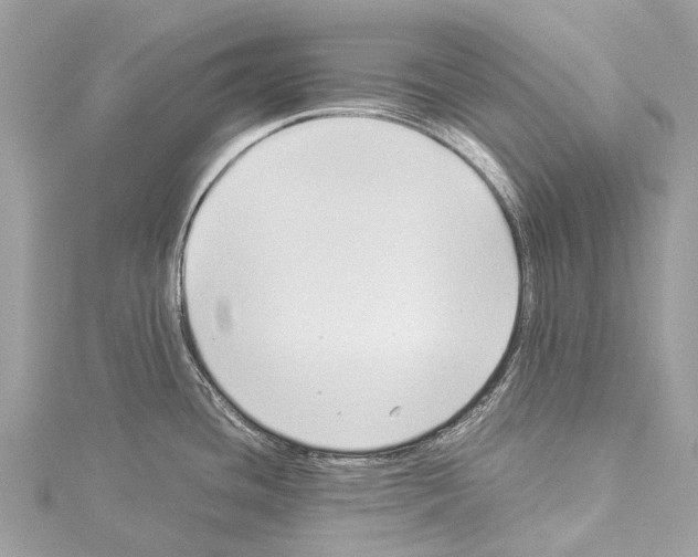 X0000114151436200911191155