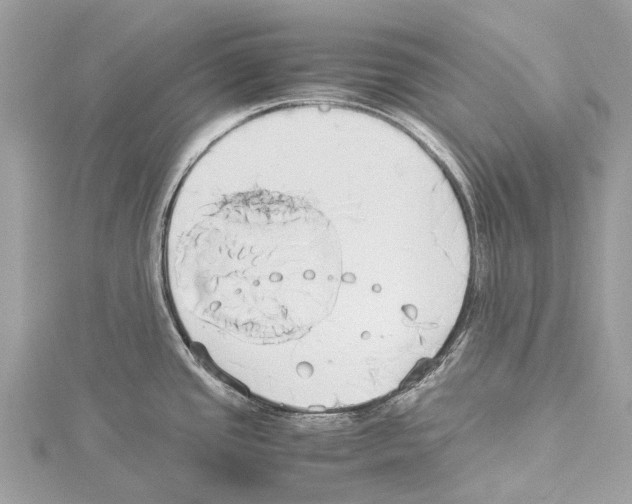 X0000114151437200911191155