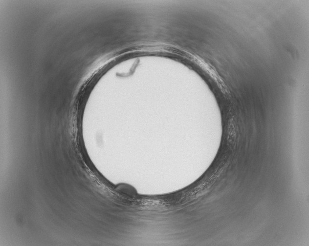 X0000114151456200911191154