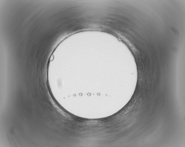 X0000114151479200911191154
