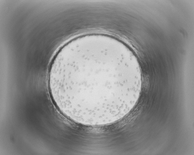 X0000114151508200911191153
