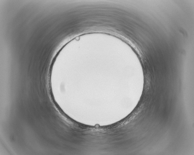 X0000114151525200911191153