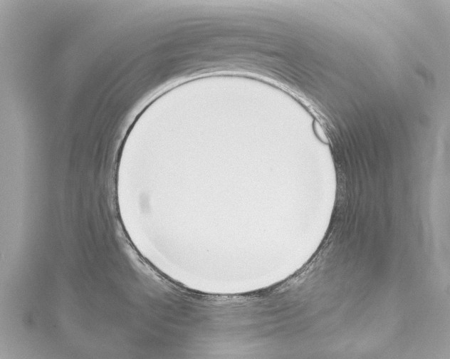 X0000114151534200911191154