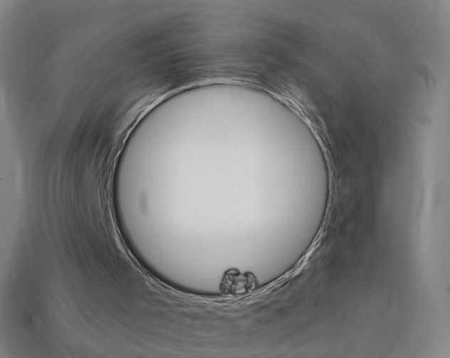 X0000114160001200910081143