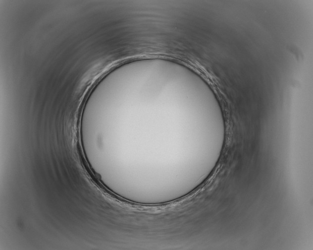 X0000114160002200910081143