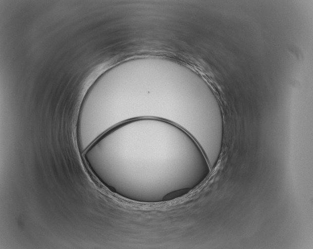 X0000114160003200910081143
