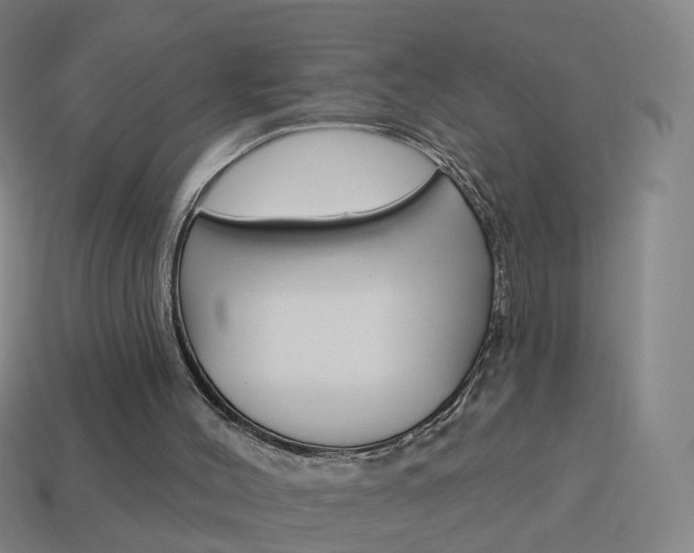 X0000114160004200910081143