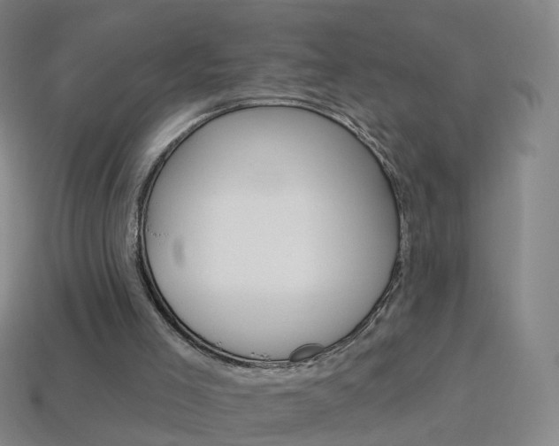X0000114160005200910081143