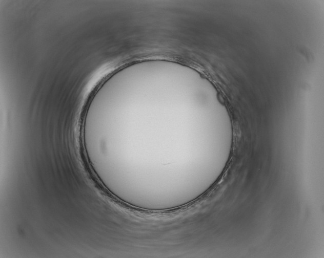 X0000114160006200910081143