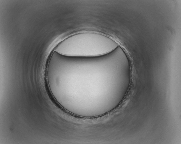 X0000114160007200910081143