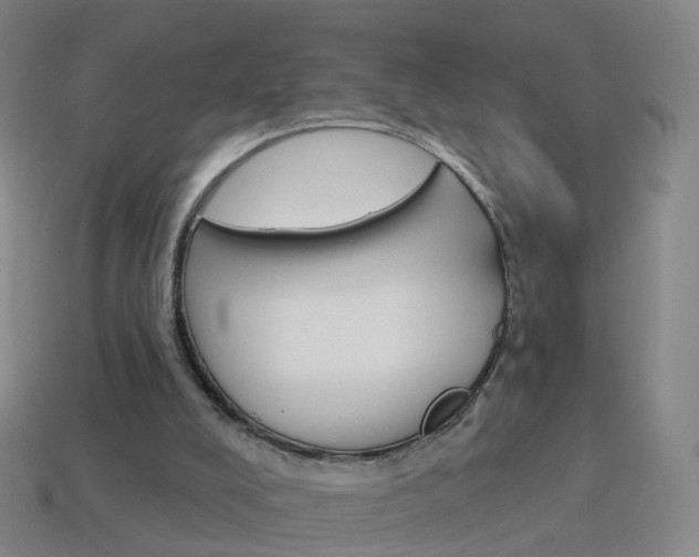 X0000114160008200910081143