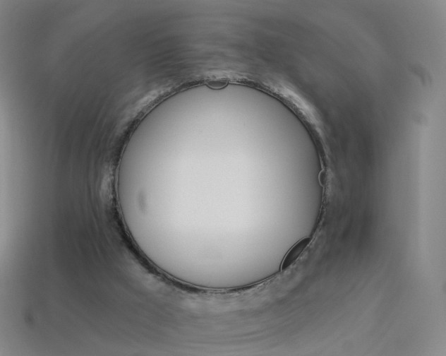 X0000114160009200910081143